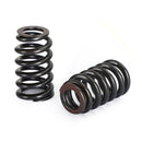 1218 Valve Springs For GM LQ9 LQ4 LS LS1 LS2 LS3 LS6 4.8 5.3 6.0 6.2 .600" Generic