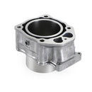 Honda 2012-2019 TRX500 FM/FE/FPE/FPM Fourtrax Foreman 500 4x4 Cylinder Kit 12100-Hr0-F00
