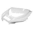 Fairings Plastics 2012-2022 Kawasaki ZX14R Ninja  Primal only Unpainted Generic