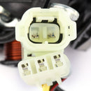 Generator Stator Coil 31120-HN6-A31 For Honda TRX250EX Sportrax 250 EX (06-08) Generic
