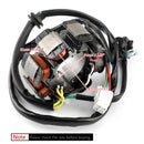 Alternator Stator Coil For Kawasaki KLX 300 KLX300R 1996-2007