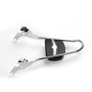 Sissy Bar Luggage Rack Seat Backrest Pad For 2015-18 Street 500 750 XG500 XG750 Generic