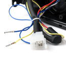 Integrated TailLight Turn Signals for Suzuki GSXR 600/750 GSX-R 1000 01-02