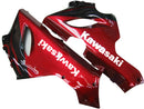 Fairings 2005-2006 Kawasaki ZX6R 636 Black & Red Flame Ninja Racing Generic