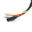 Areyourshop Alternator Stator Fit for 125 200 250 300 380 EXC EGS SX (2K-2) 1998-2004