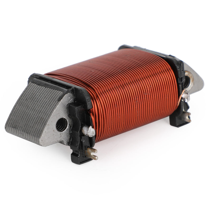 Stator Generator Alternator For Kawasaki KDX 200 E H 89 - 06 / KDX 220 R 94 - 05 Generic