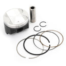 Engine Piston Rings Pin Kit Standard 73mm for Suzuki DR250R/S DRZ250 1998-2007 Generic