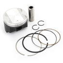Pistons & Rings Kit +0.25mm 73.25mm Bore for Suzuki DR250R DRZ250 AN250 90-07