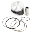 Engine Piston Rings Pin Kit Standard 73mm for Suzuki DR250R/S DRZ250 1998-2007 Generic