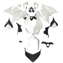 Ducati 1299/959 2015-2020 Fairing Injection Molding Unpainted