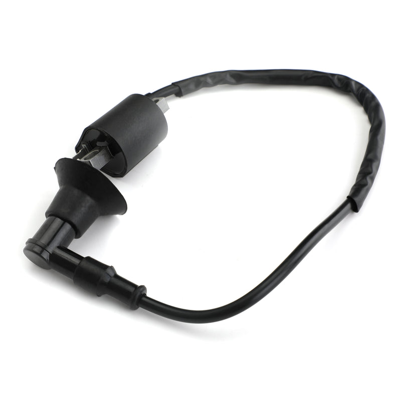 Racing IGNITION COIL FOR POLARIS SPORTSMAN 90 / 50 2001 2002 2003 2004 2005 2006 Generic