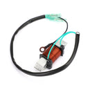Areyourshop Magneto Assy Lighting Coil Fit for Yamaha 89-17 40hp 40X E40X 66T-85533-00