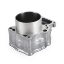 Honda 2012-2019 TRX500 FM/FE/FPE/FPM Fourtrax Foreman 500 4x4 Cylinder Kit 12100-Hr0-F00