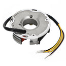 Stator Generator Magento Fit for Sea-Doo 717 720 290886725 290886726 420886725 Generic