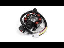 Stator Generator for Polaris Kids ATV 0451001 0450521 0450998 0450522 0450523 Generic