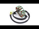 STATOR GENERATOR ALTERNATOR for Polaris 600 800 IQ PRO 4012939 4012548 4012113 Generic