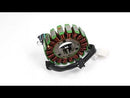 Stator Generator for Yamaha YS250 YBR250 2007-2011 5D1-H1410-00 5D1-H1410-01 Generic