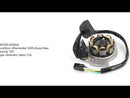 Areyourshop STATOR GENERATOR ALTERNATOR Fit for Honda CR250R CR 250 R 02-07 31100-KZ3-J41 Generic