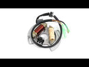 Alternator Magneto Stator for Yamaha YFS200 Blaster 200 YFS 1997-2002 Generic
