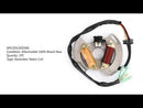 Alternator Magneto Stator Fit for Yamaha Blaster YFS200 90-02 3JM-85560-00-00 Generic
