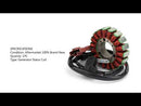 Stator Generator for Piaggio Scarabeo Fuoco Beverly MP3 400 500 07-15 58108R